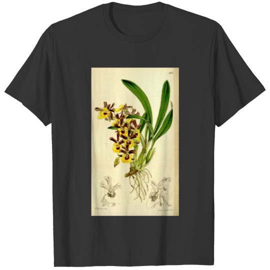 Curtis's botanical magazine (Tab. 5193) ( T-shirt
