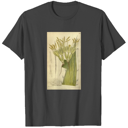 Agave haynaldii 139 8481 T Shirts
