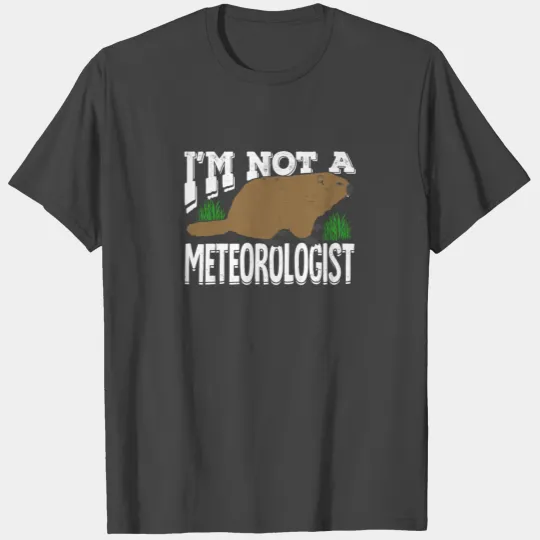 Groundhog Woodchuck Meteorology Meteorologist Gift T Shirts