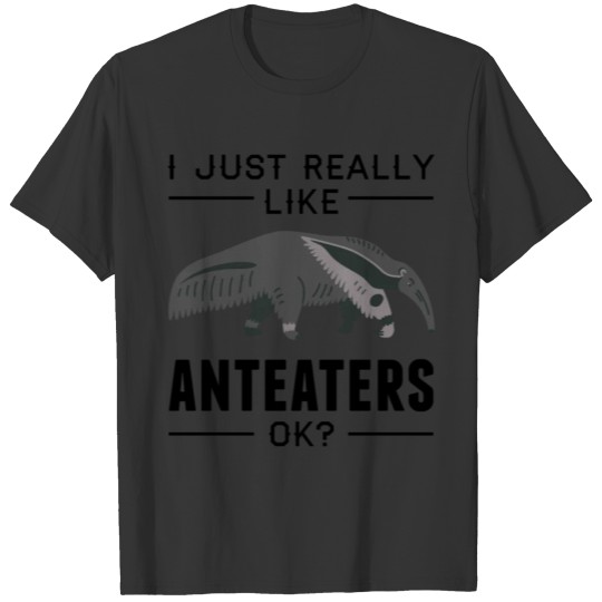Anteater gift idea birthday saying women girls T-shirt