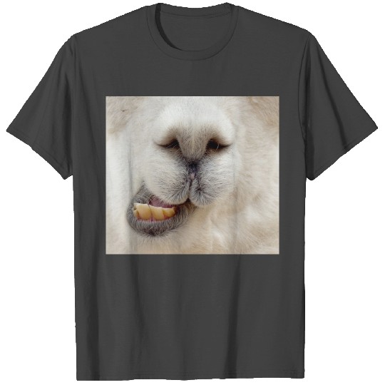 Alpaca T Shirts