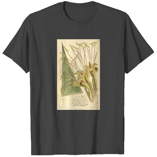 Agave warelliana 139 8501 T Shirts