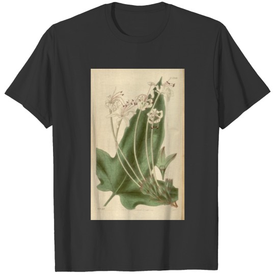 Curtis's botanical magazine (Plate 3398) ( T-shirt