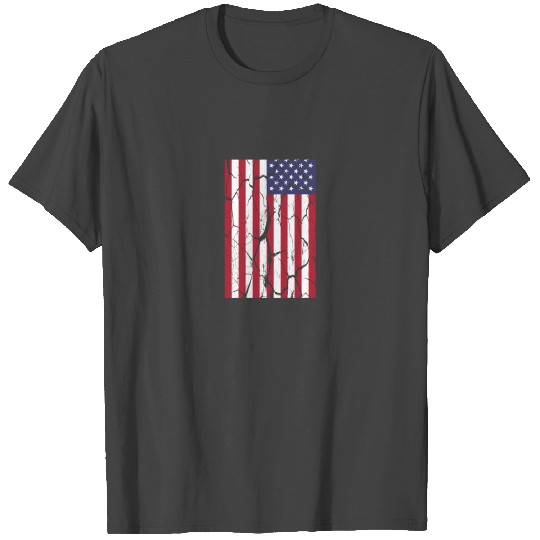 Stars and Stripes - Gift - USA - USA Flag - 4 july T Shirts