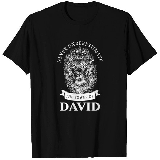 David Gift Name Lion T Shirts