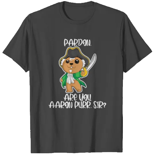 Novelty Sir Aaron Purr Politics Enthusiasts T Shirts
