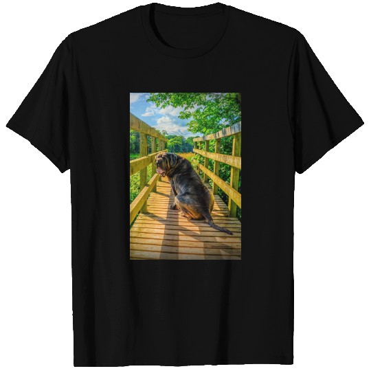 Neapolitan Mastiff Enjoying A Summers Day T Shirts