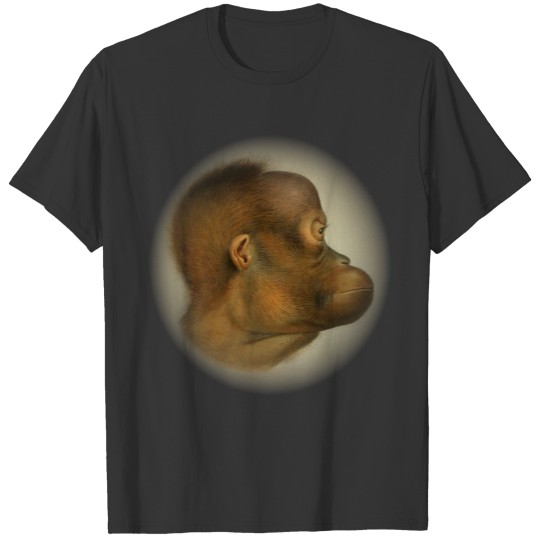 Orangutan Monkey Face Wild Rainforest Primate Apes T Shirts