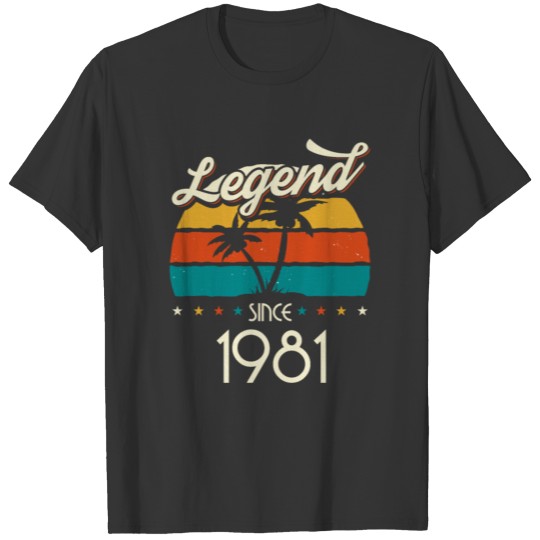 1981 Vintage born in Retro age Birthday gift idea T-shirt
