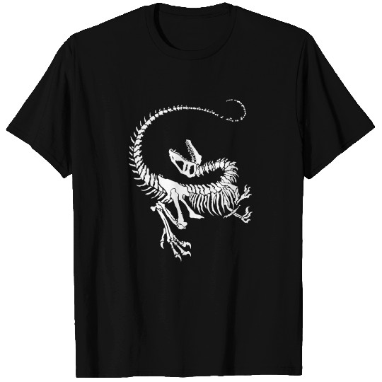 Dinosaur Jr T Shirts