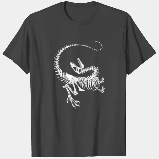 Dinosaur Jr T Shirts