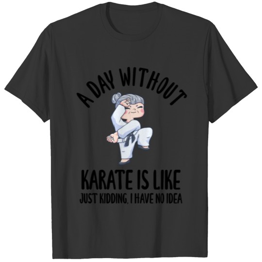 A Day Without Karate Is Like T-shirt