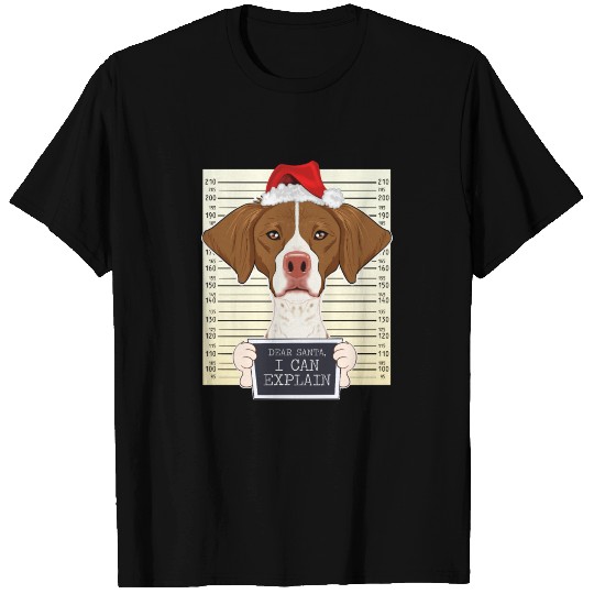 Dear Santa I Can Explain Brittany Christmas T Shirts