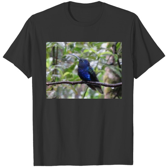 Humming bird in Costa Rica T-shirt
