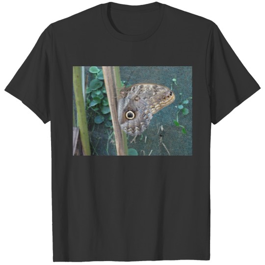 Butterfly Eye T-shirt
