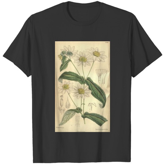 Curtis's botanical magazine (Tab. 8143) ( T-shirt