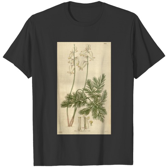 Curtis's botanical magazine (8293286049) T-shirt