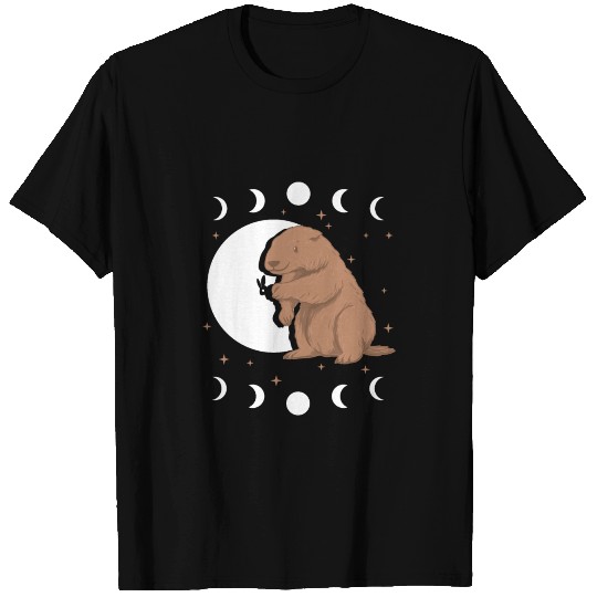 Happy Groundhog Day T Shirts, Woodstock Illinois,