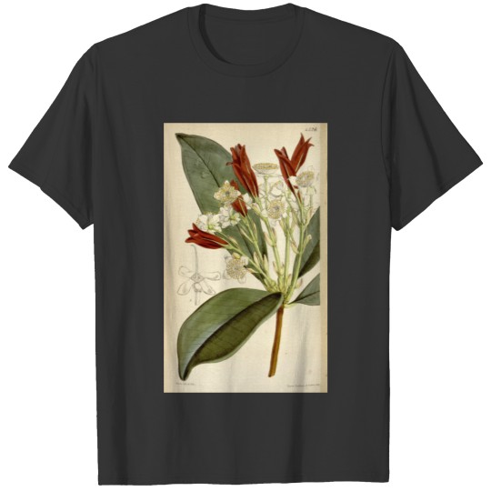Curtis's botanical magazine (Tab. 4526) ( T-shirt