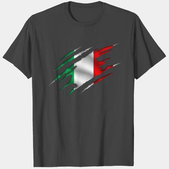 Mexico Ripped Flag Green White Red T Shirts