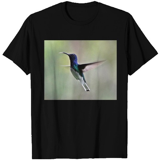 White-necked Jacobin Hummingbird T Shirts
