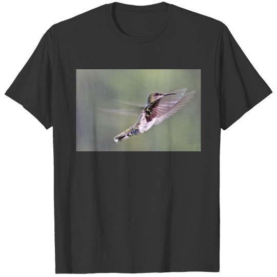 Staying stable - Hummingbird T Shirts