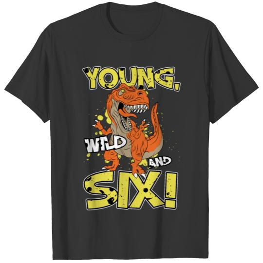 Dinosaur 6th birthday T Rex Dinosaur Birthday T Shirts