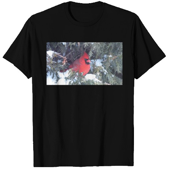 Cardinal Bird 1 T Shirts