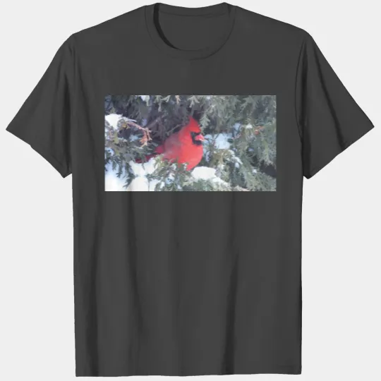 Cardinal Bird 1 T Shirts