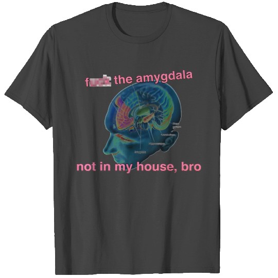 insight bloodborne amygdala T Shirts