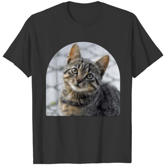 cute sneaky hangry cat Classic T Shirts