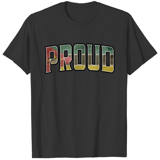 Proud Mozambican Vintage Heritage DNA Flag T-shirt