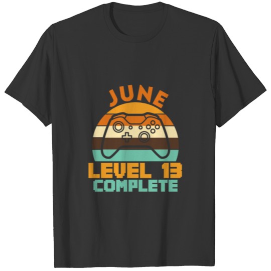 Level 13 complete gamer birthday T-shirt