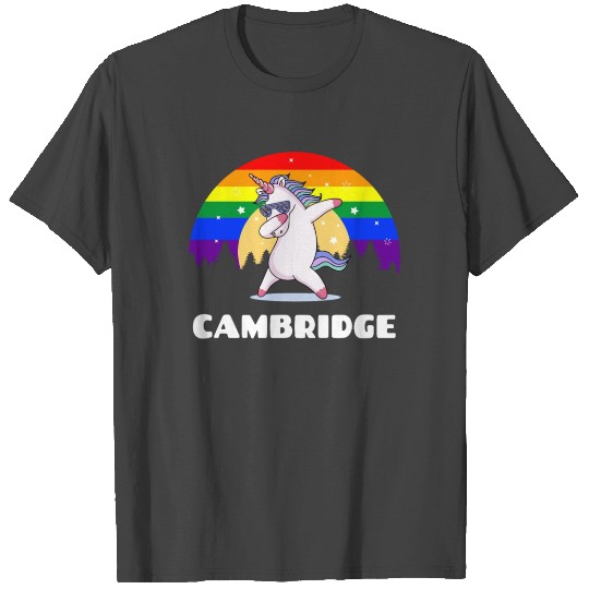 Cambridge Massachusetts LGBTQ Gay Pride Rainbow T Shirts