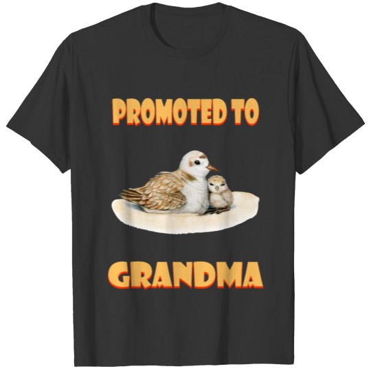Promoted To Grandma Mother's Day Funny Sassy T-shirt