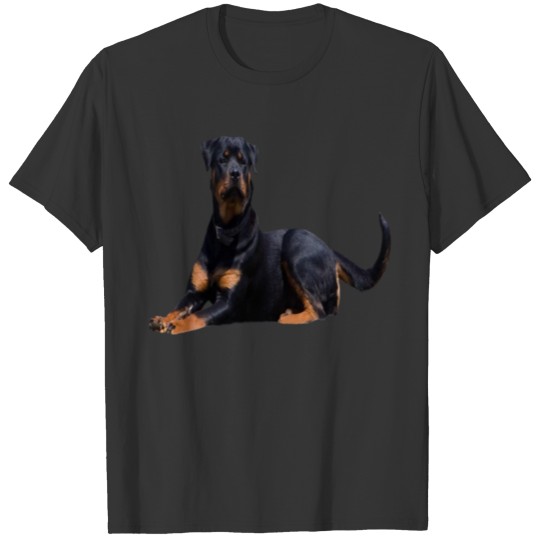 Rottweiler dog T Shirts