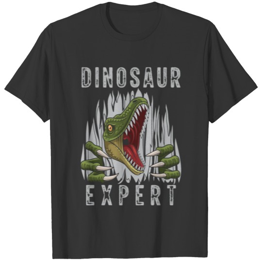 Dinosaur Expert Boys Girls Dino T Shirts