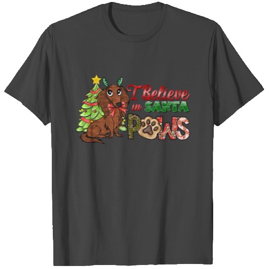 I Believe in Santa Paws T Shirts