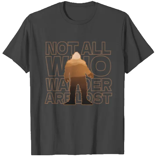 Not All Who wander are lost T Shirts