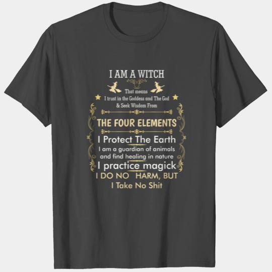 I Am A Witch Take No Shit Pagan Witch Affirmation T Shirts