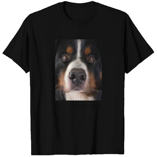 Bernese Mountain Dog T Shirts