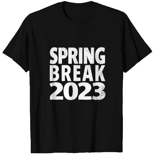 Matching Group Spring Break 2023 Vintage Tie Dyevi T Shirts