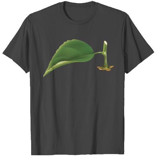 Pretend I m An Orange Halloween Orange Costume T Shirts