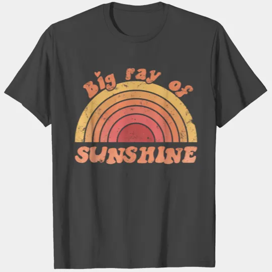 Big Ray Of Sunshine Sorority Big Sister T Shirts