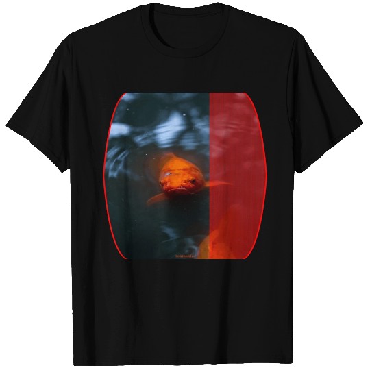fish, cute fish, fish colorful, fish coral, beatif T Shirts