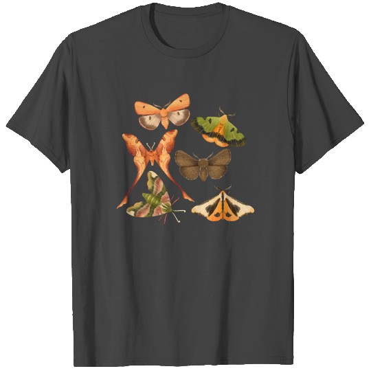 Fairy T Shirts, Fairycore Luna Moths Vintage Grunge