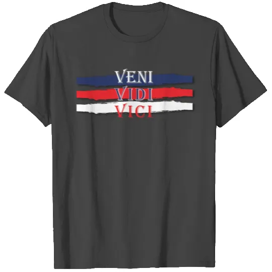 Veni Vidi Vici American Flag Colors T Shirts