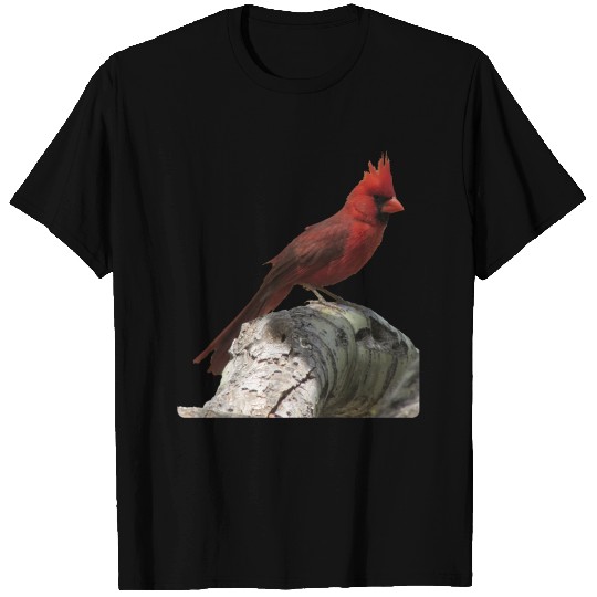 Cardinal T Shirts