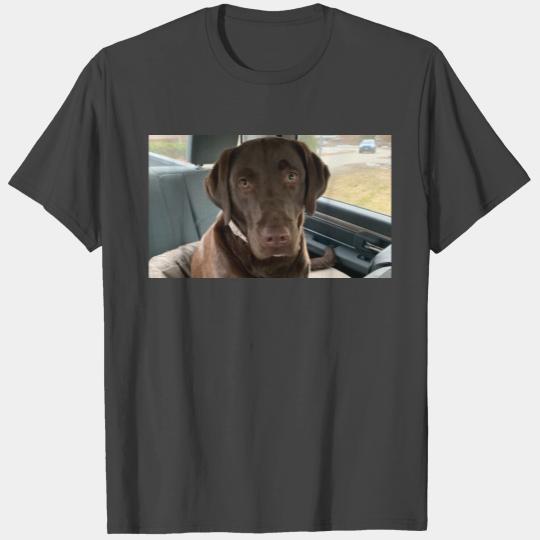 MoneyGirl, chocolate labrador, furbaby, furbabies T Shirts