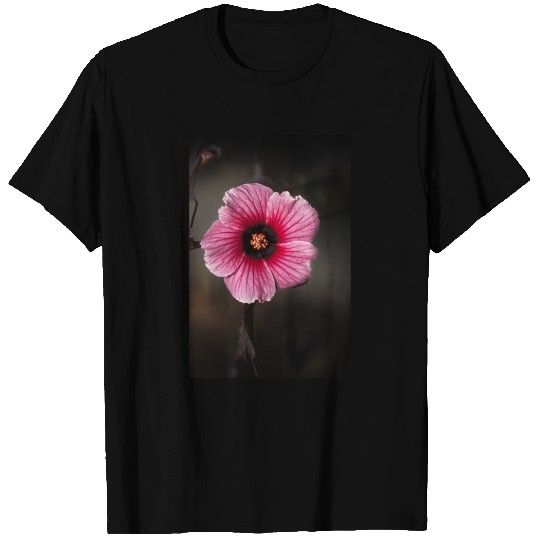 Hibiscus acetosella or cranberry hibiscus T Shirts